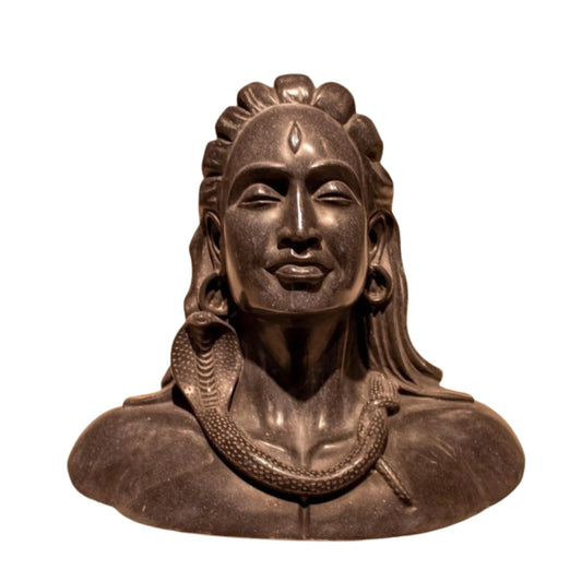 Premium Adiyogi Shiva Face with Detailed Hair and Calm Features